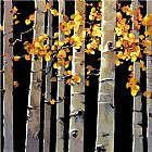 Michael O'Toole Aspen Grove I painting